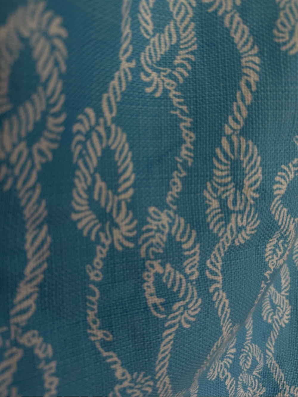 Lilly Pulitzer Row Your Boat Blue and White Rope Print Sleeveless Shift Dress - Picture 7 of 14